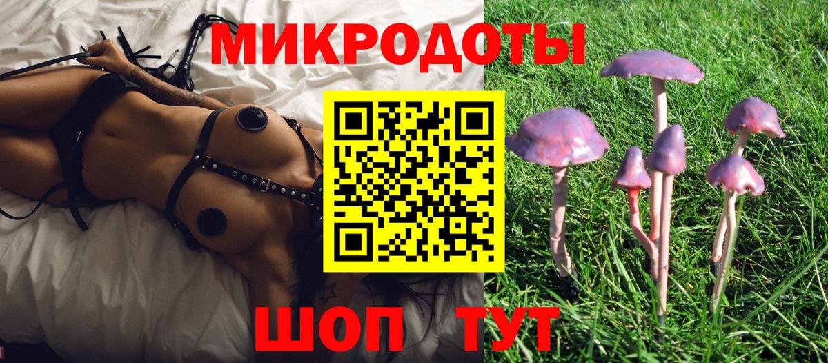 Псилоцибиновые грибы GOLDEN TEACHER  Вход с VPN  Гагарин 