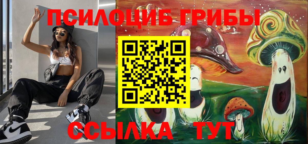 Галлюциногенные грибы Psilocybine cubensis Гагарин